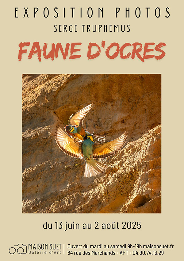Expositions en cours